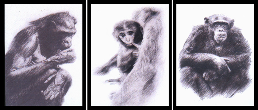 Art 2