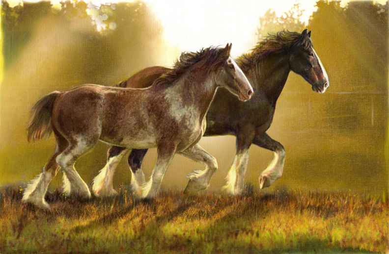 Art 7