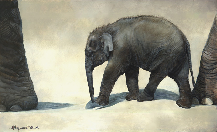 Art 5