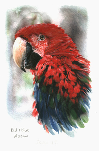 Art 6