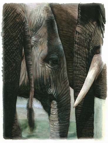 Art 6