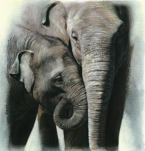 Art 8