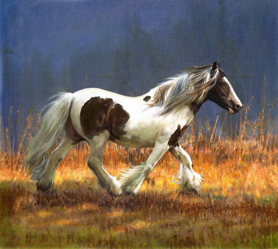 Art 5
