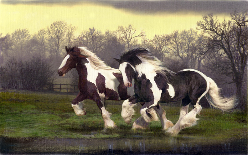 Art 8