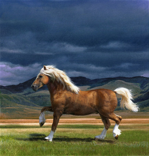 Art 6