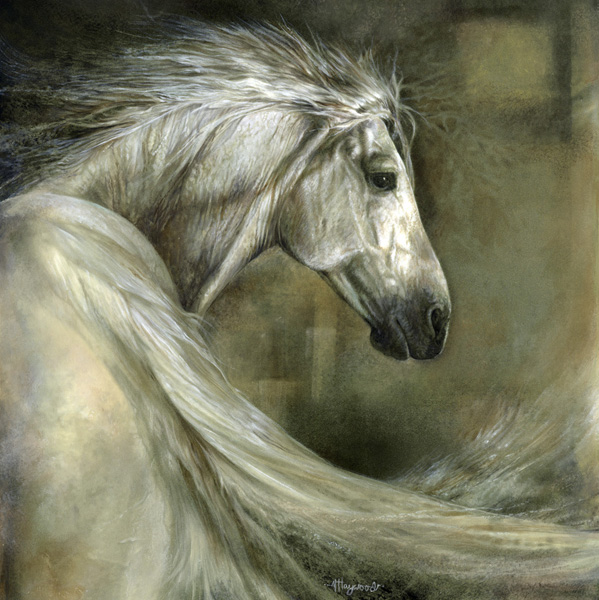 Art 8