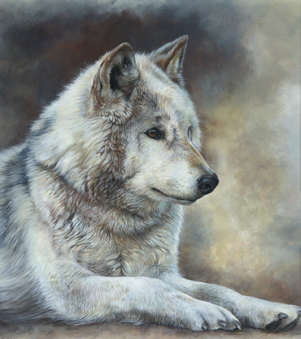 Art 8