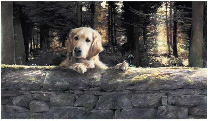Art 7
