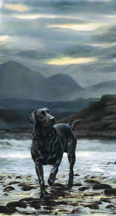 Art 5