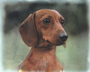 Art 5