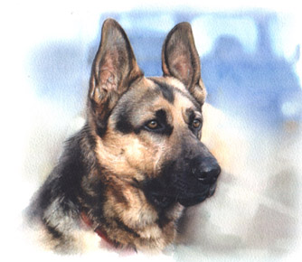 Art 8