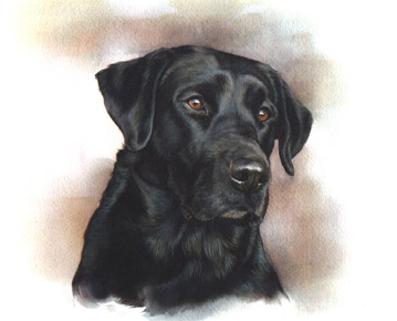 Art 2