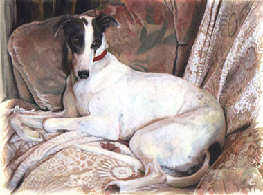 Art 8
