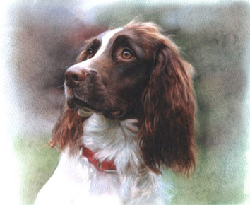 Art 1