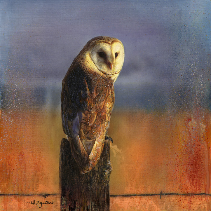 Art 1