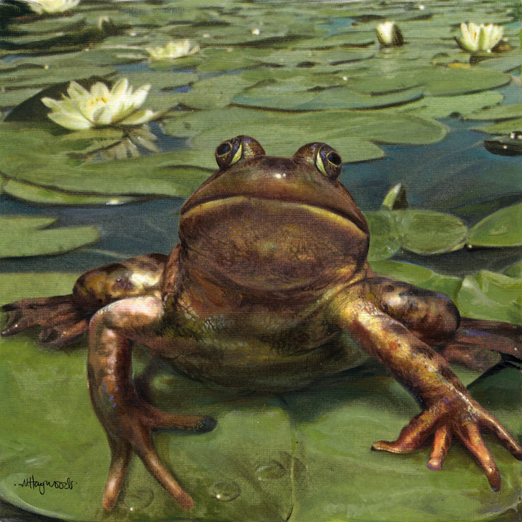Art 7