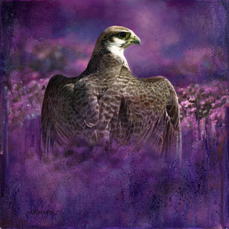 Art 8