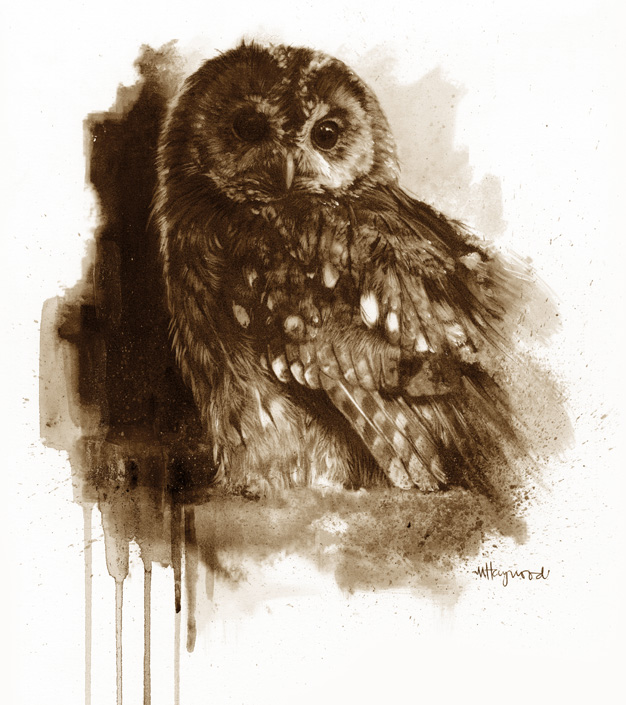 Art 5
