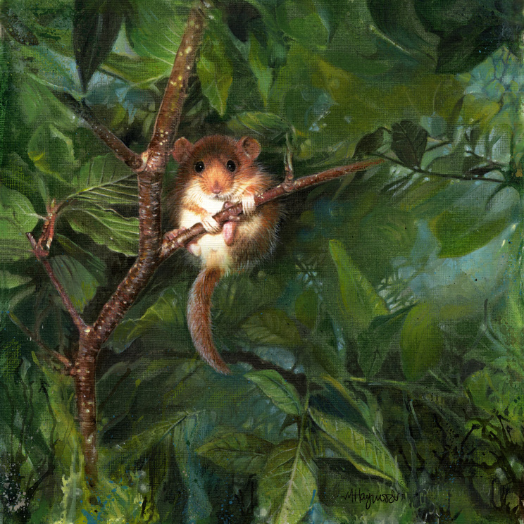 Art 6
