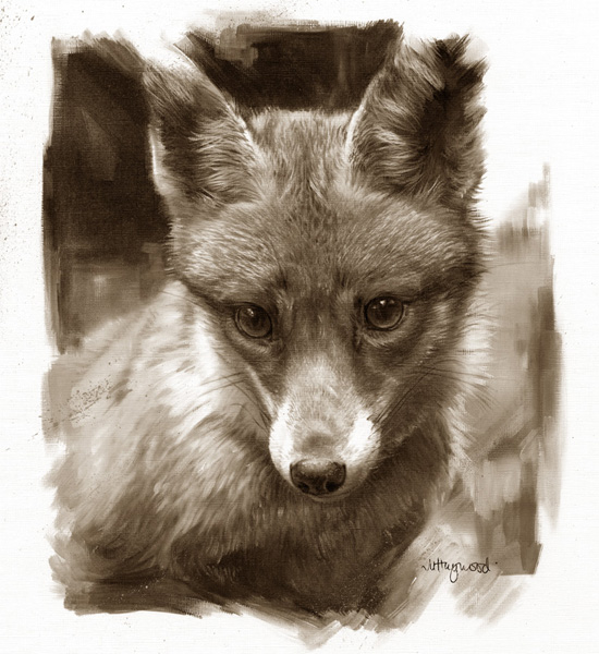 Art 5