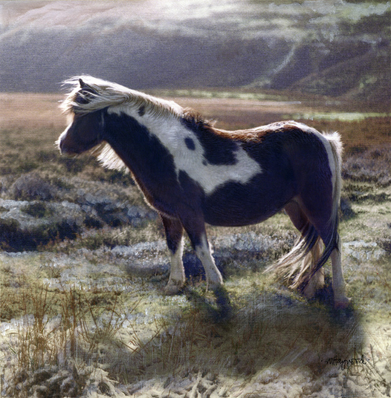 Art 8