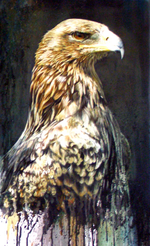 Art 6