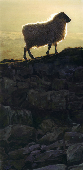 Art 2