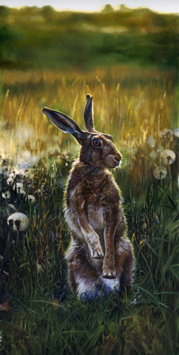 Art 5