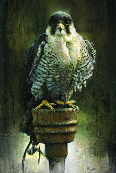 Art 5