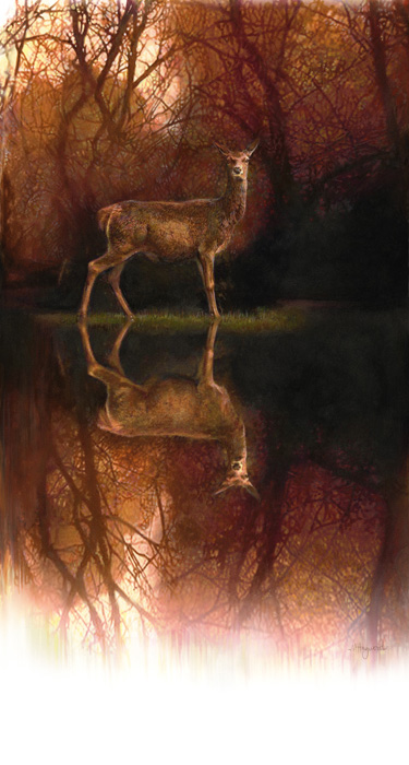Art 6